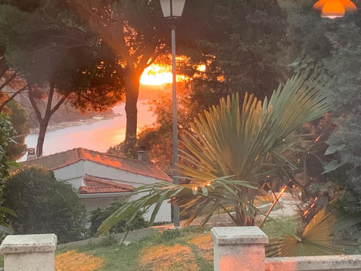 La Casita De Noe Con Vista Al Pantano De San Juan Βίλα San Martín de Valdeiglesias Εξωτερικό φωτογραφία